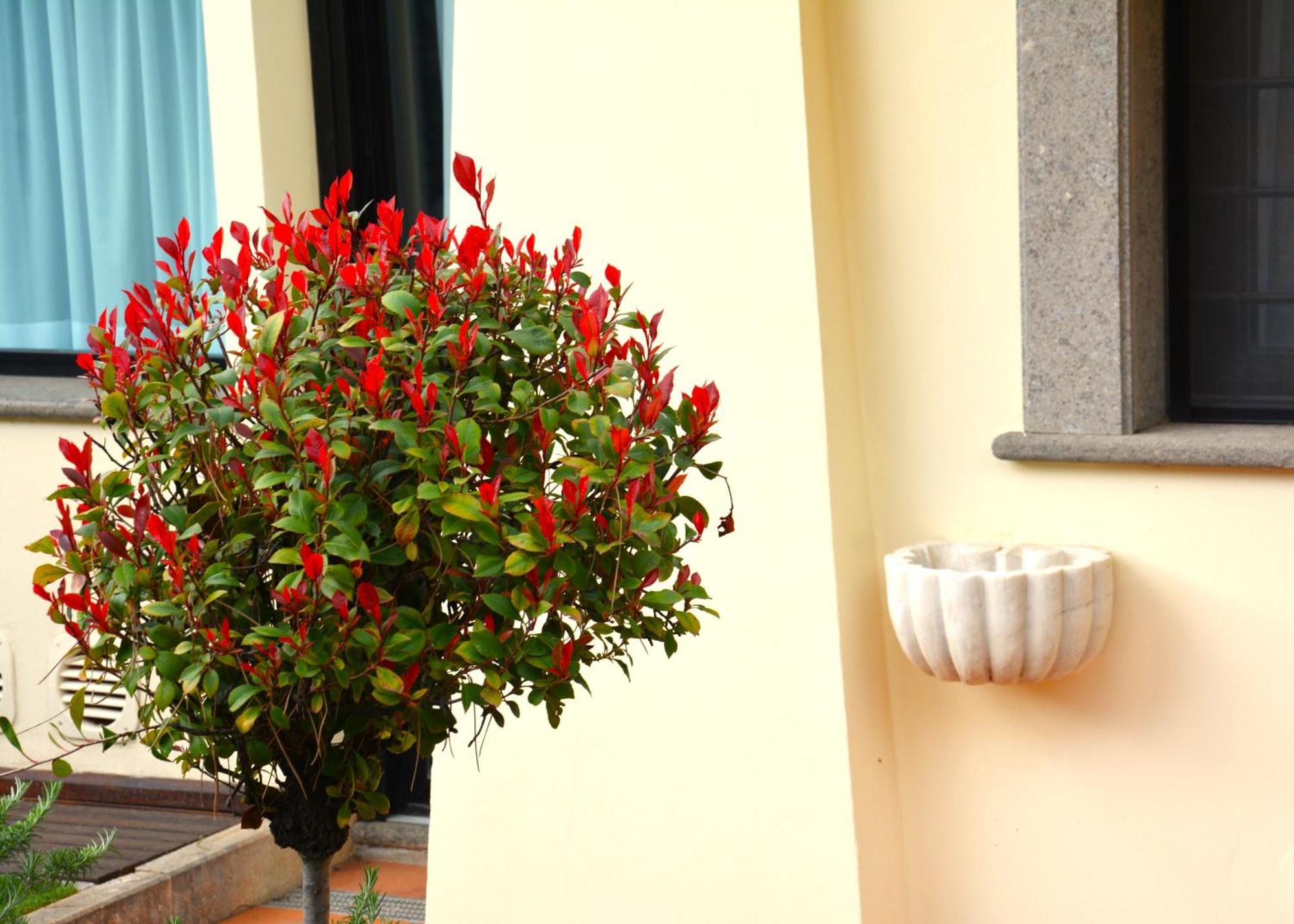 Gemelli Hotel Rzym Zewnętrze zdjęcie